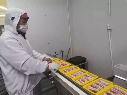 因為光明，所以溫暖 光明食品集團以實際行動服務社會，守護大眾健康